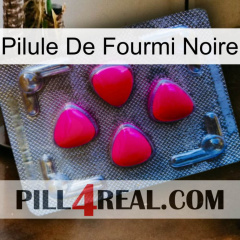 Black Ant Pill 13